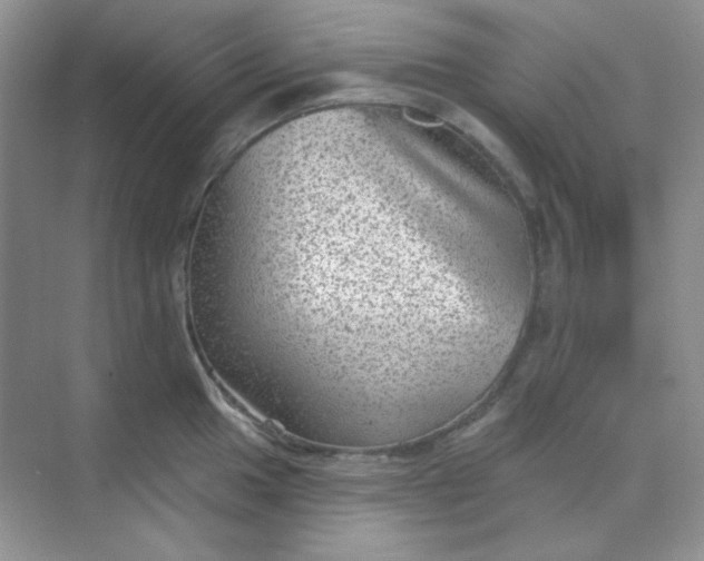 X0000068721049200605121447