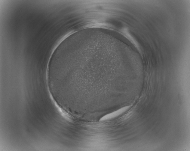 X0000068721050200605121447