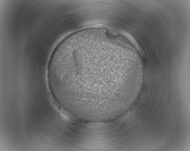 X0000068721051200605121447