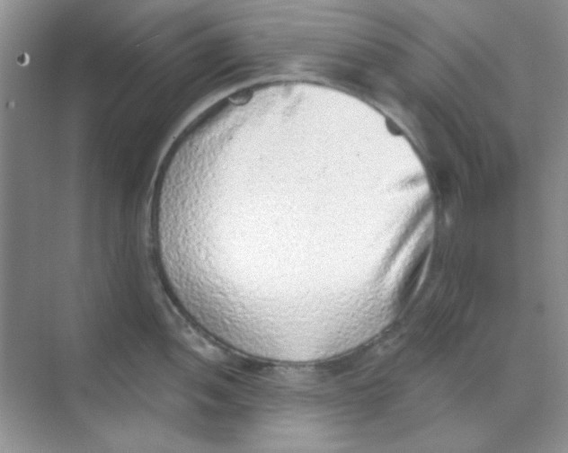 X0000068721052200605121447