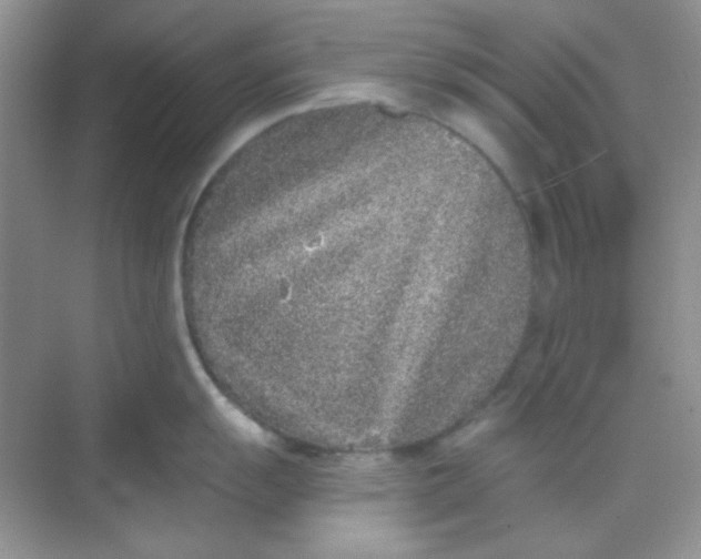 X0000068721055200605121447