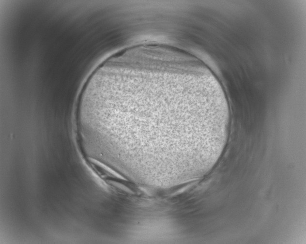 X0000068721056200605121447