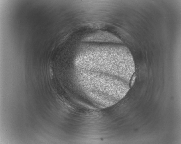 X0000068721058200605121446