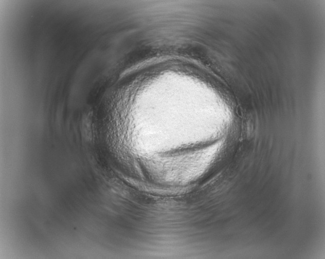 X0000068721059200605121446