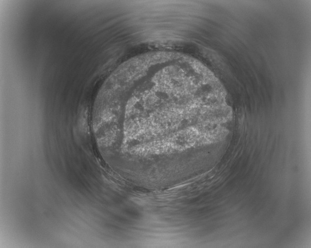 X0000068721060200605121446