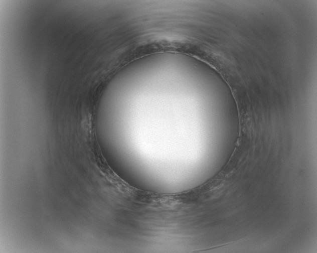 X0000068721061200605121446