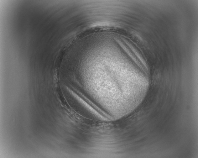 X0000068721062200605121446