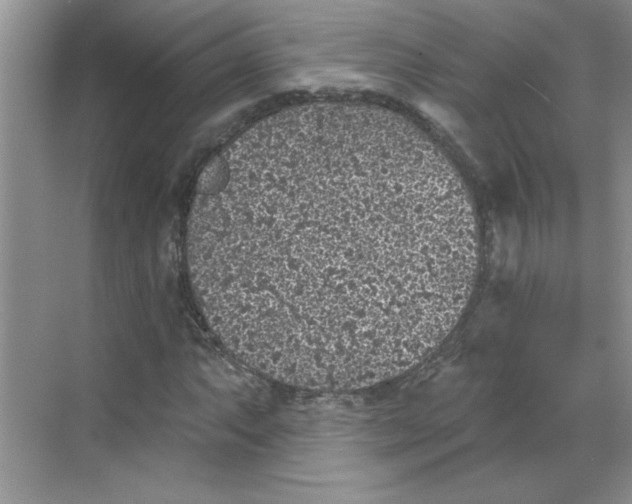 X0000068721063200605121446