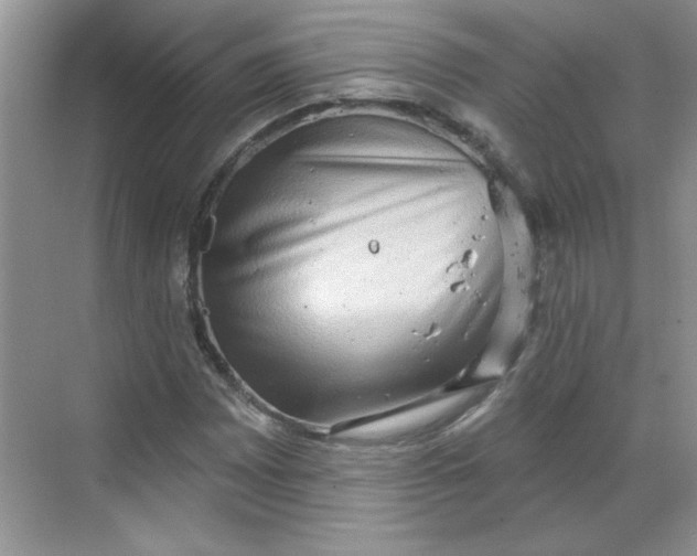 X0000068721065200605121446