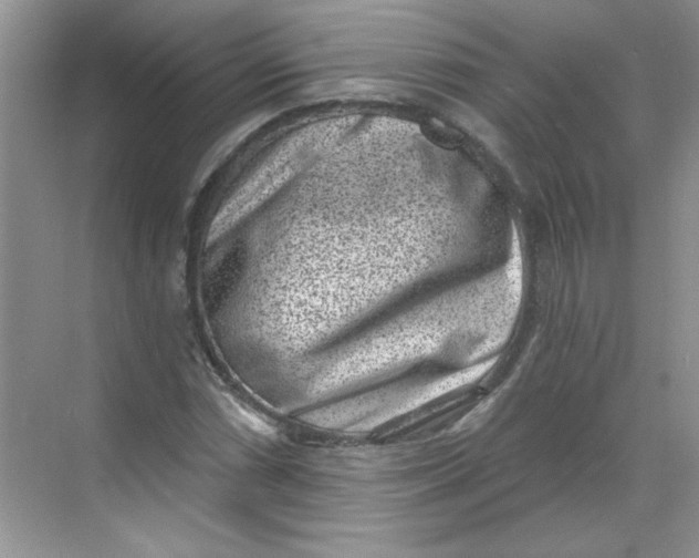 X0000068721066200605121446