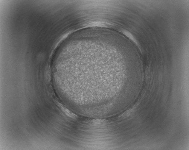 X0000068721067200605121446