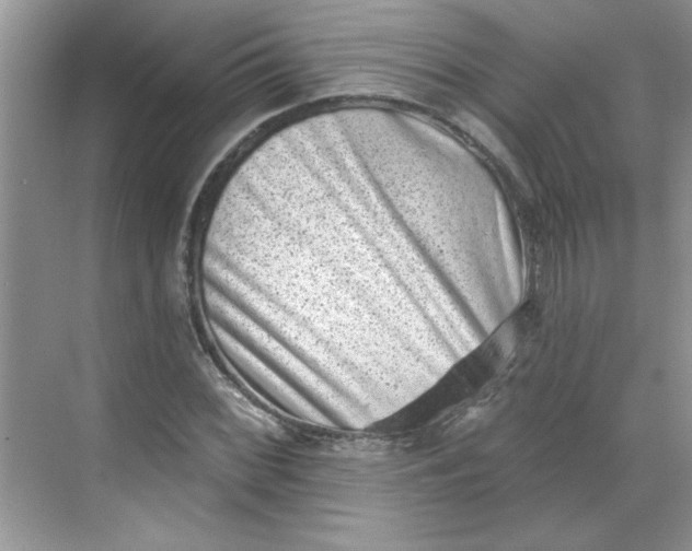 X0000068721068200605121446