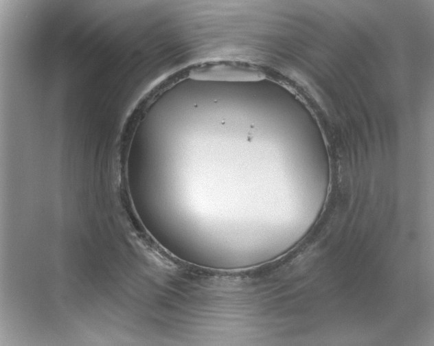 X0000068721069200605121446