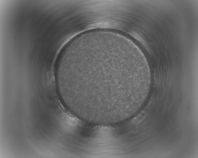 X0000068721070200605121446