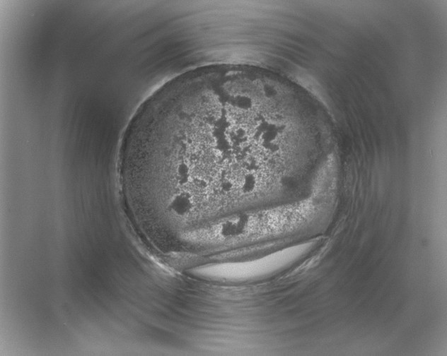 X0000068721071200605121446