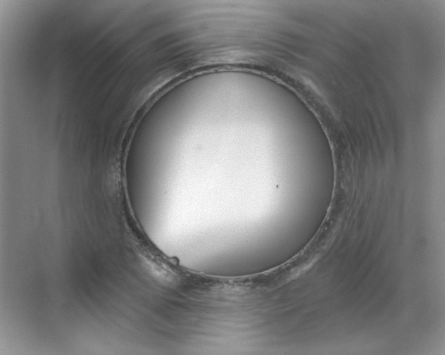 X0000068721073200605121446