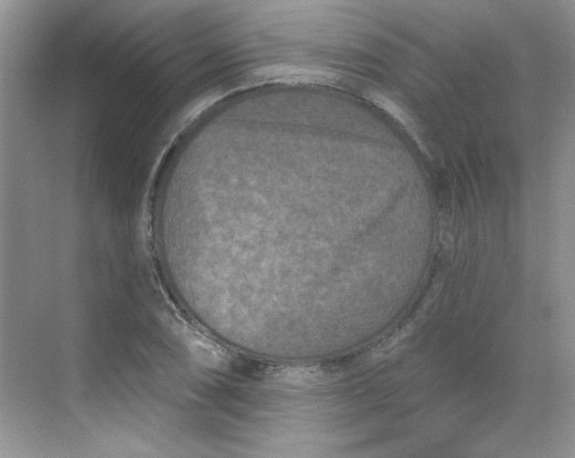 X0000068721074200605121446