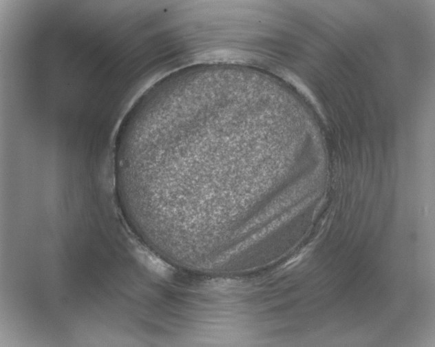 X0000068721075200605121446