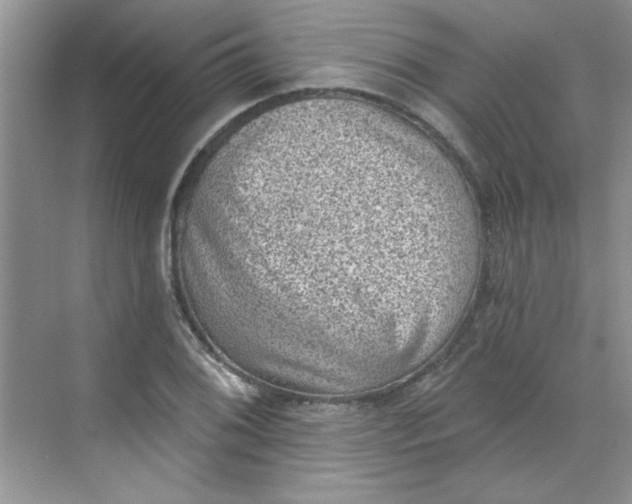 X0000068721076200605121446