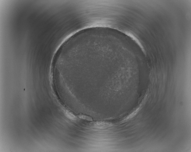 X0000068721077200605121446