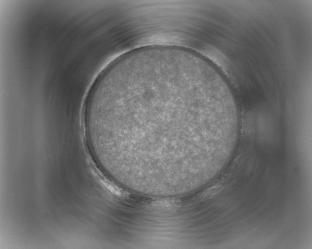 X0000068721078200605121446