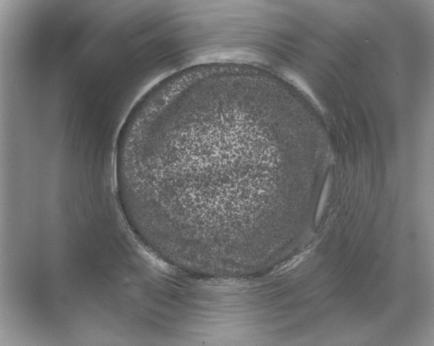 X0000068721079200605121446