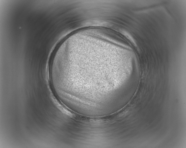 X0000068721080200605121446