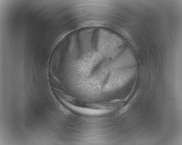 X0000068721081200605121446