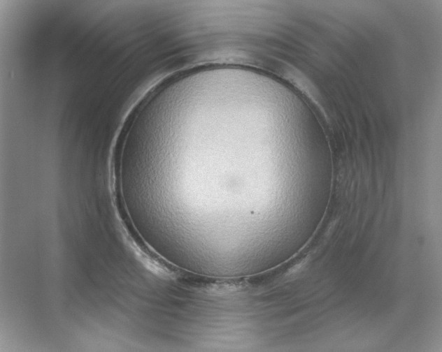 X0000068721082200605121446