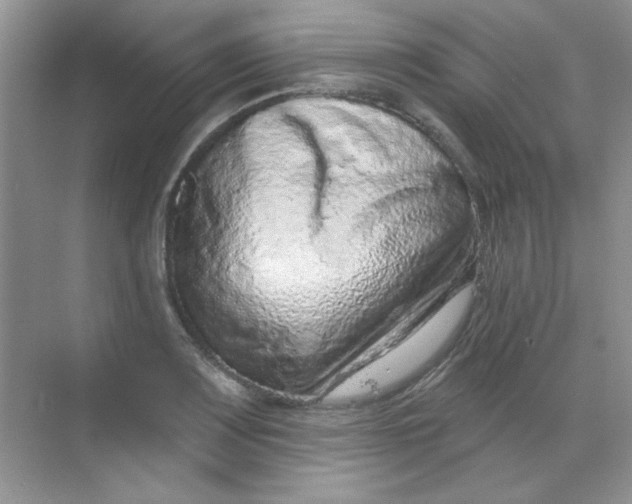 X0000068721083200605121446