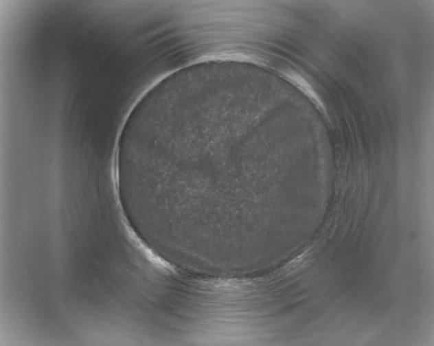 X0000068721084200605121446