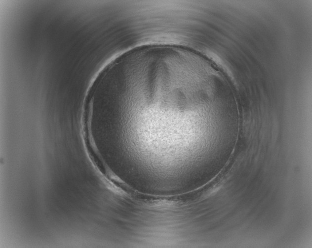 X0000068721085200605121446