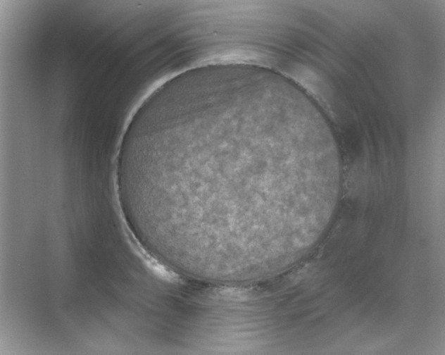 X0000068721086200605121446