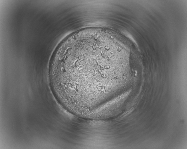 X0000068721087200605121446