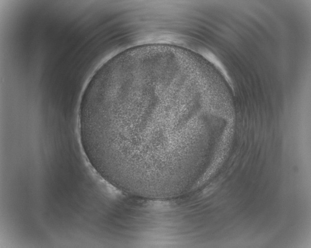 X0000068721088200605121446