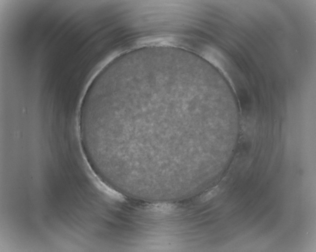 X0000068721090200605121446