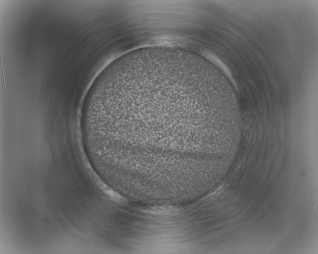 X0000068721091200605121446