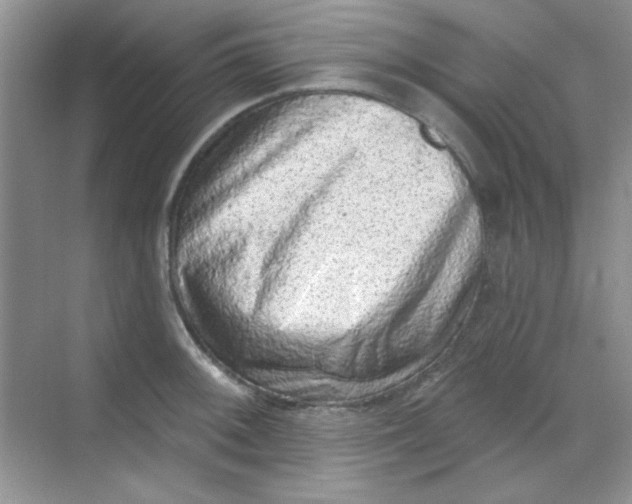 X0000068721092200605121446