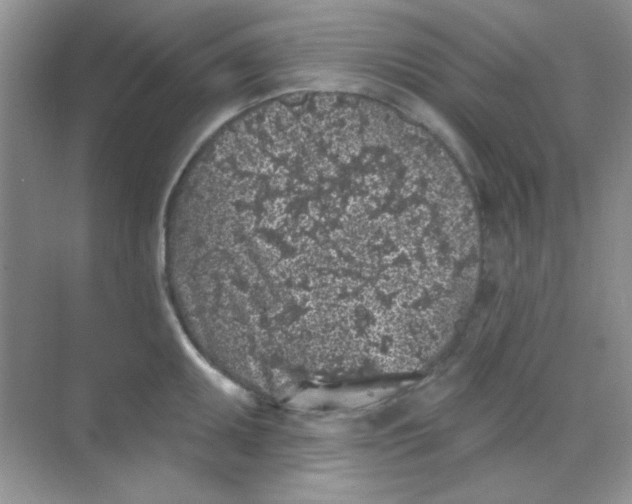 X0000068721095200605121446