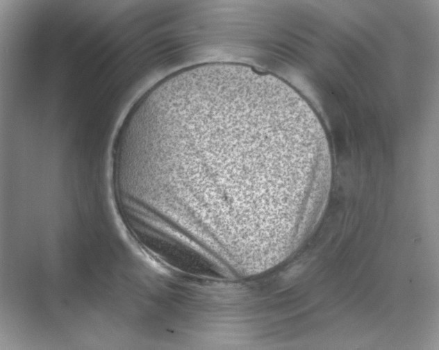 X0000068721096200605121446