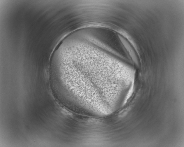 X0000068721097200605121446