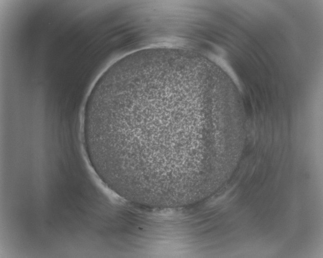 X0000068721099200605121446