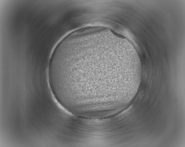 X0000068721100200605121446