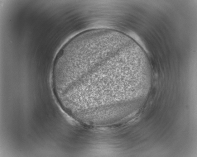 X0000068721101200605121445