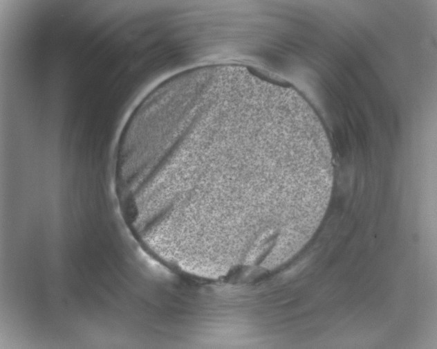 X0000068721102200605121445