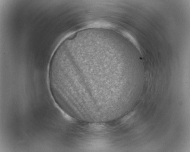 X0000068721103200605121445