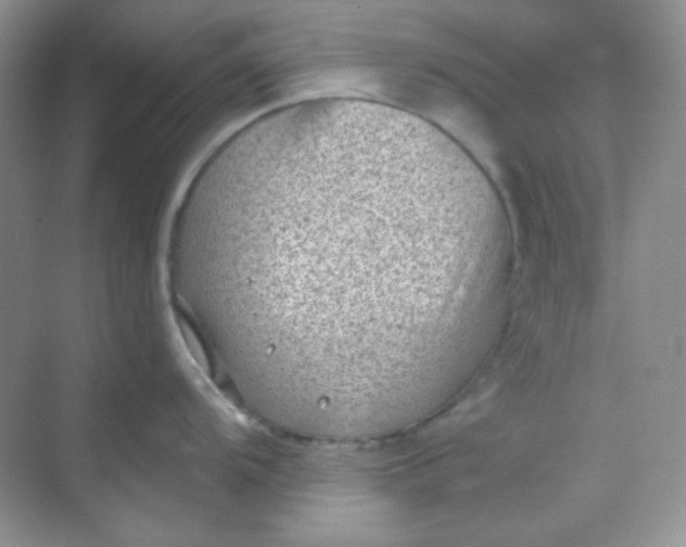 X0000068721104200605121445