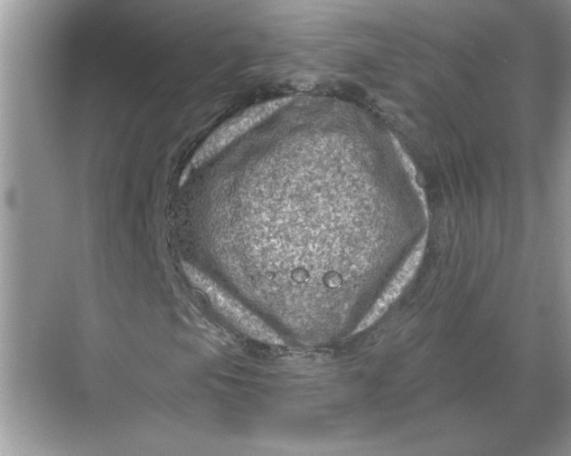 X0000068721105200605121445