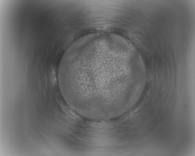 X0000068721106200605121445