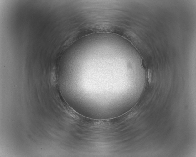 X0000068721107200605121445